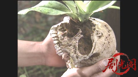 山村美紗サスペンス 名探偵キャサリン・シリーズ5 胡蝶蘭殺人事件.mp4_20260302_111345.053.jpg