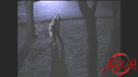 山村美紗サスペンス 名探偵キャサリン・シリーズ12 坂本龍馬殺人事件.mp4_20260302_19.jpg