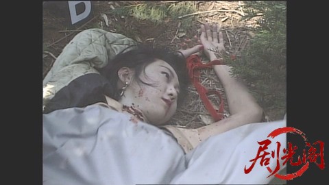 西村京太郎サスペンス 十津川警部シリーズ11 南伊豆高原殺人事件.mkv_20260302_220228.242.jpg