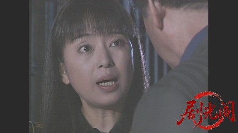 西村京太郎サスペンス 十津川警部シリーズ14 西村京太郎＆山村美紗 夢の合作サスペン.jpg