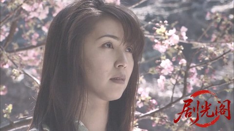 西村京太郎サスペンス十津川警部シリーズ19 伊豆七滝殺人事件.mkv_20260303_143739.444.jpg