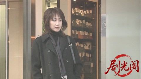 西村京太郎サスペンス 十津川警部シリーズ30 パリ 東京殺人ルート.mkv_20260303_162826.524.jpg