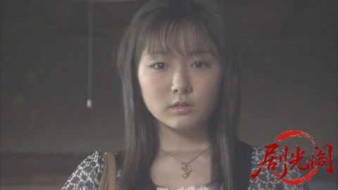 西村京太郎サスペンス十津川警部シリーズ40 生命～ベールに包まれた誕生の秘密～.mkv_.jpg