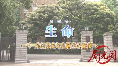 西村京太郎サスペンス十津川警部シリーズ40 生命～ベールに包まれた誕生の秘密～.mkv_.jpg