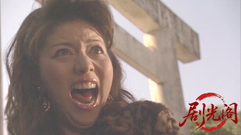 西村京太郎サスペンス 十津川警部シリーズ43 伊勢志摩殺人迷路～円空の謎～.mkv_20260.jpg