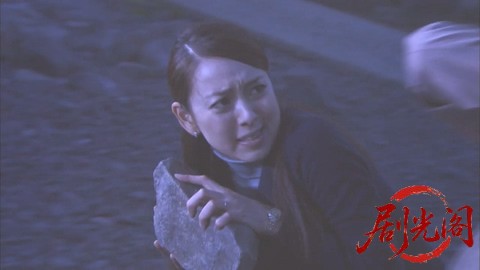西村京太郎サスペンス 十津川警部シリーズ49 特急「しらさぎ」殺人迷路～越前竹人形の.jpg