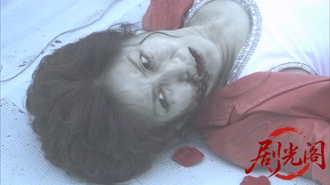 西村京太郎サスペンス 十津川警部シリーズ51 京都～小浜殺人迷路 ～八百比丘尼伝説の.jpg