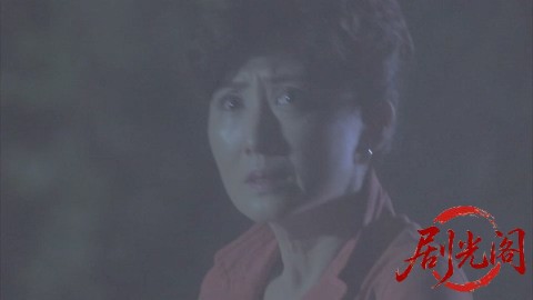 西村京太郎サスペンス 十津川警部シリーズ51 京都～小浜殺人迷路 ～八百比丘尼伝説の.jpg