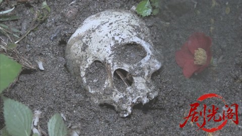 西村京太郎サスペンス 十津川警部シリーズ51 京都～小浜殺人迷路 ～八百比丘尼伝説の.jpg