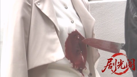 西村京太郎サスペンス 十津川警部シリーズ52 小田原城殺人事件 ～一期一会の証言～.mk.jpg