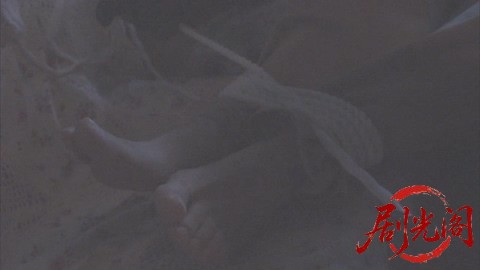 西村京太郎サスペンス 十津川警部シリーズ52 小田原城殺人事件 ～一期一会の証言～.mk.jpg