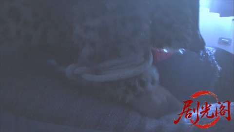 西村京太郎サスペンス 十津川警部シリーズ53 伊豆・踊り子号殺人ルート ～消えた一億.jpg