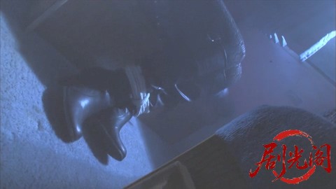 西村京太郎サスペンス 十津川警部シリーズ53 伊豆・踊り子号殺人ルート ～消えた一億.jpg