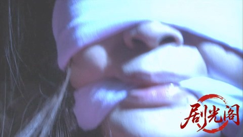 西村京太郎サスペンス 十津川警部シリーズ53 伊豆・踊り子号殺人ルート ～消えた一億.jpg