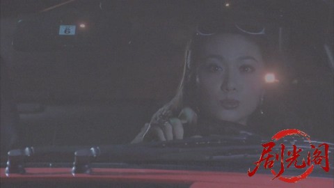 西村京太郎サスペンス 十津川警部シリーズ53 伊豆・踊り子号殺人ルート ～消えた一億.jpg