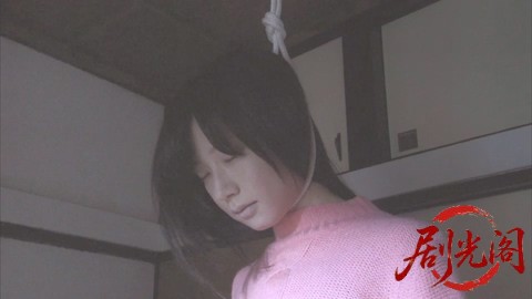 西村京太郎サスペンス 十津川警部シリーズ53 伊豆・踊り子号殺人ルート ～消えた一億.jpg