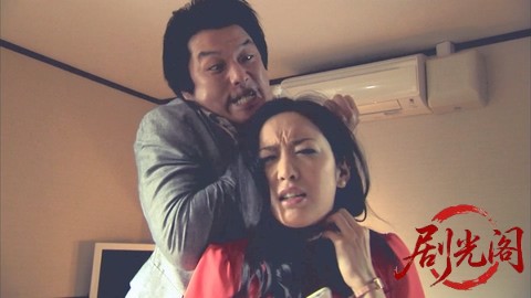 西村京太郎サスペンス 十津川警部シリーズ54 サンライズ出雲の女 ～消えた似顔絵の女.jpg