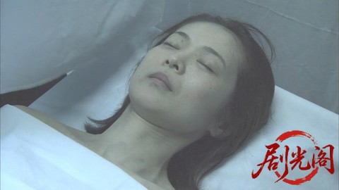 西村京太郎サスペンス 十津川警部シリーズ41 寝台特急殺人事件～さよならブルートレイ.jpg