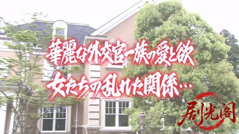 家政婦は見た！26　華麗な外交官一族の愛と欲　女たちの乱れた関係…　秋子、大統領を.jpg