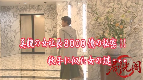 家政婦は見た！25　美貌の女社長　8000億の秘密！！秋子に似た女の謎….mkv_20260304_.jpg