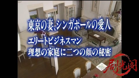 家政婦は見た！19　東京の妻、シンガポールの愛人、エリートビジネスマン　理想の家庭.jpg
