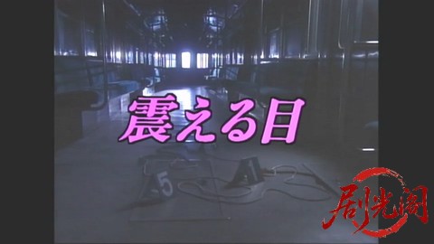震える目1995.mkv_20260304_203800.254.jpg