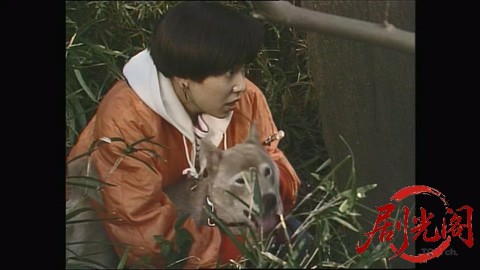 女動物医事件簿 人見知りする犬.mkv_20260305_185121.469.jpg