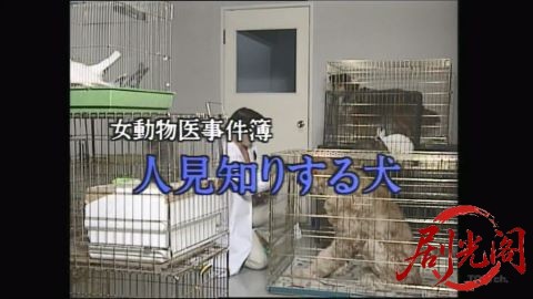 女動物医事件簿 人見知りする犬.mkv_20260305_184904.144.jpg
