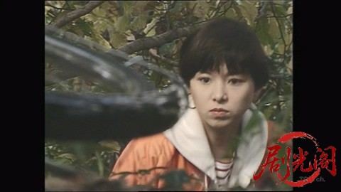 女動物医事件簿 人見知りする犬.mkv_20260305_184837.923.jpg