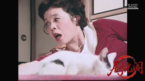 松本清張の熱い空気 家政婦は見た！夫婦の秘密“焦げた”.mkv_20260309_192245.244.jpg