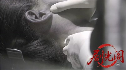 法医学教室の事件ファイル32 アラフォー同窓会に届いた冷凍遺体！女医VS元・女子高教.jpg