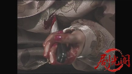 法医学教室の事件ファイル16 監察医VS鑑識官　女ふたりの熱い闘い！２つの血液型を持.jpg