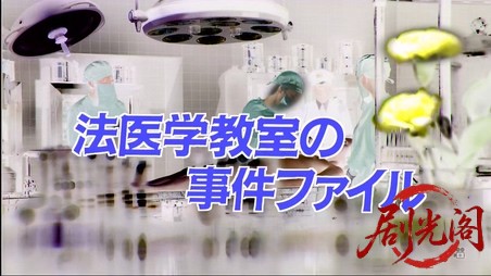 法医学教室の事件ファイル21　集団自殺サイトで狙われた獲物　“水槽に浮かぶ死美人”.jpg