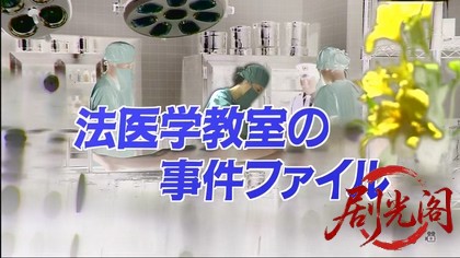 法医学教室の事件ファイル27　襲われた婚約者！死後硬直のズレと電流痕の謎….mkv_202.jpg