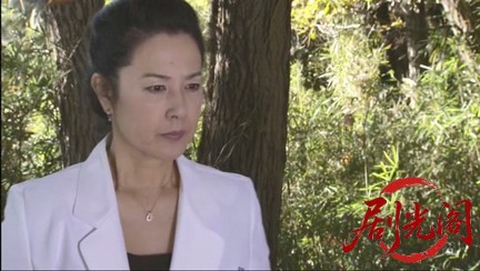 法医学教室の事件ファイル30 女医VS水曜日の絞殺魔！蟻の死体解剖が殺人トリックを暴.jpg