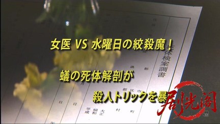 法医学教室の事件ファイル30 女医VS水曜日の絞殺魔！蟻の死体解剖が殺人トリックを暴.jpg