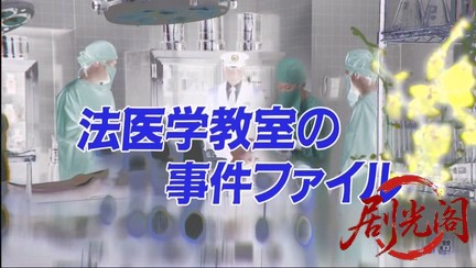 法医学教室の事件ファイル30 女医VS水曜日の絞殺魔！蟻の死体解剖が殺人トリックを暴.jpg