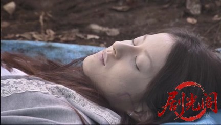 法医学教室の事件ファイル30 女医VS水曜日の絞殺魔！蟻の死体解剖が殺人トリックを暴.jpg