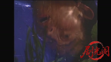 西村京太郎サスペンス 探偵左文字進2 汚れた勲章.mkv_20260314_145054.672.jpg