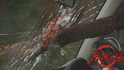 西村京太郎サスペンス 探偵左文字進16 他人になった女.mkv_20260314_171348.192.jpg