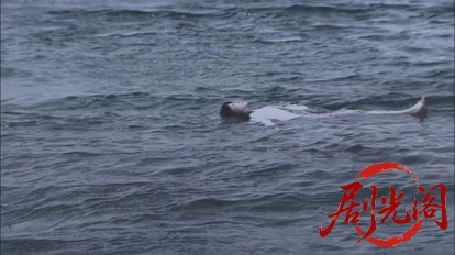 内田康夫サスペンス 浅見光彦シリーズ33 蜃気楼.mkv_20260315_155451.956.jpg