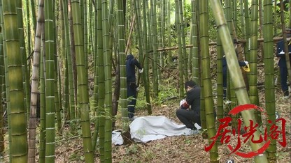 内田康夫サスペンス 新・浅見光彦シリーズ4 華の下にて.mkv_20260315_164324.918.jpg