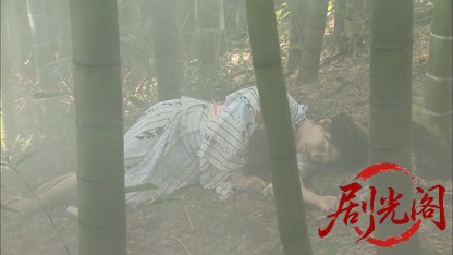 内田康夫サスペンス 新・浅見光彦シリーズ4 華の下にて.mkv_20260315_164319.251.jpg