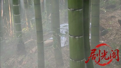 内田康夫サスペンス 新・浅見光彦シリーズ4 華の下にて.mkv_20260315_164313.700.jpg