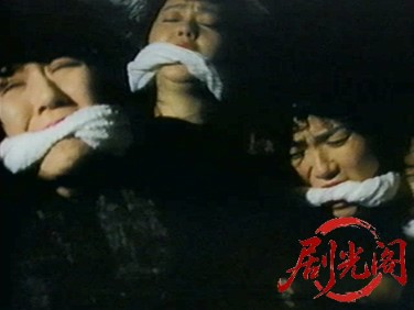 ザ・忍者ウォリア－ズ　くノ一戦士 1991.mkv_20260317_171206.072.jpg