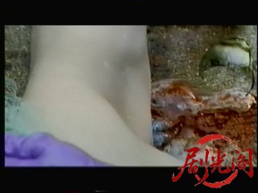 妖獣伝説 ドラゴンブルー.mkv_20260317_184518.295.jpg