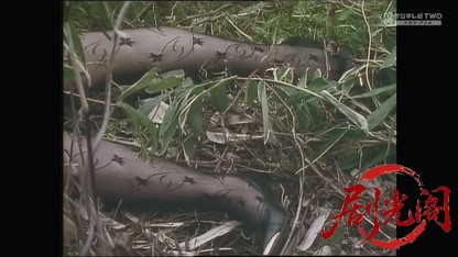 朝比奈周平ミステリー3 丹後路殺人事件.mkv_20260317_210713.879.jpg