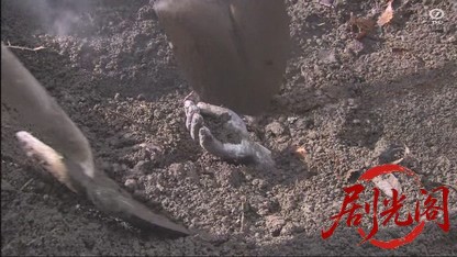 西村京太郎スペシャル 警視庁三ツ星刑事 佐々木丈太郎.mkv_20260326_101246.641.jpg