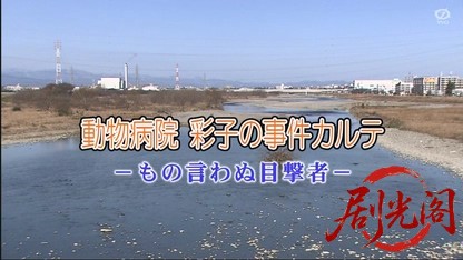 動物病院 彩子の事件カルテ －もの言わぬ目撃者.mkv_20260326_200810.899.jpg