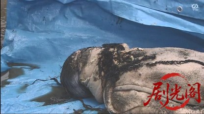 内田康夫サスペンス 信濃のコロンボ2 北国街道殺人事件.mkv_20260326_203653.653.jpg